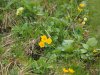 Baueinsatz_Unterjoch_2018_248