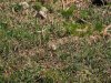 Baueinsatz_Unterjoch_2018_351