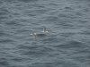 22020614_Kiel-Oslo-Kiel_307