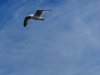 22020614_Kiel-Oslo-Kiel_343
