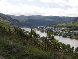 PA010218-095