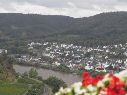 PA010238-115