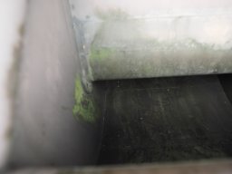 PA030363-239